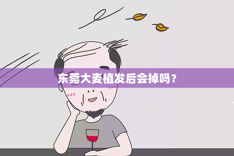 东莞大麦植发后会掉吗？