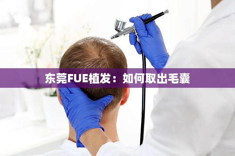 东莞FUE植发：如何取出毛囊