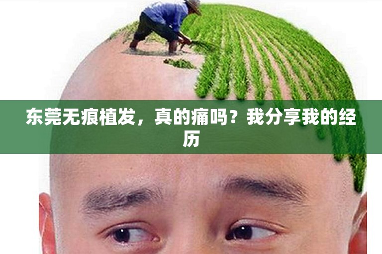 东莞无痕植发，真的痛吗？我分享我的经历