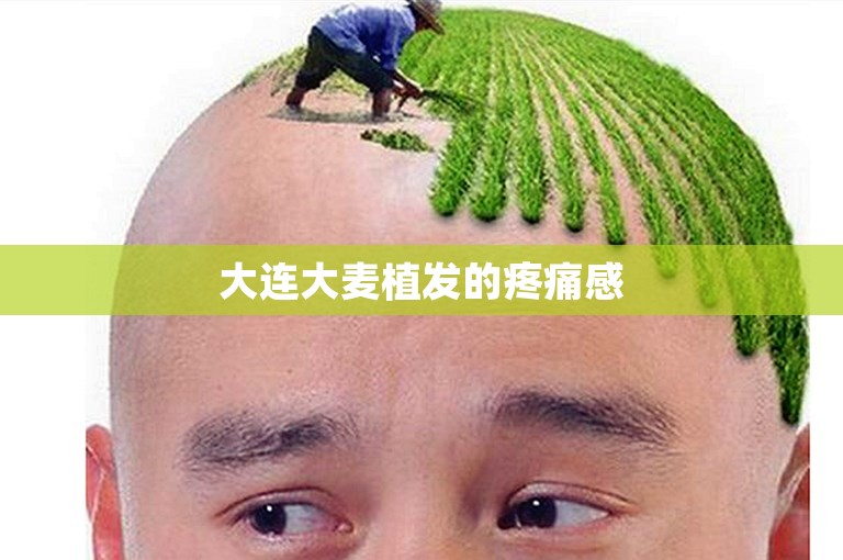 大连大麦植发的疼痛感