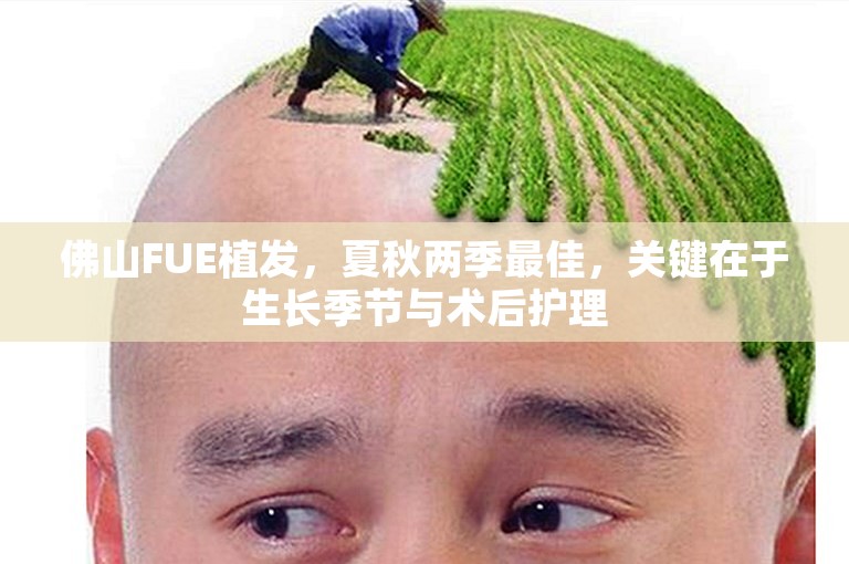 佛山FUE植发，夏秋两季最佳，关键在于生长季节与术后护理