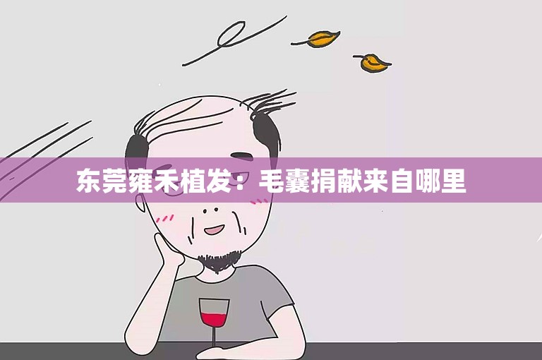 东莞雍禾植发：毛囊捐献来自哪里