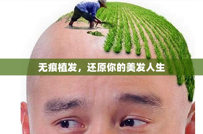 无痕植发，还原你的美发人生