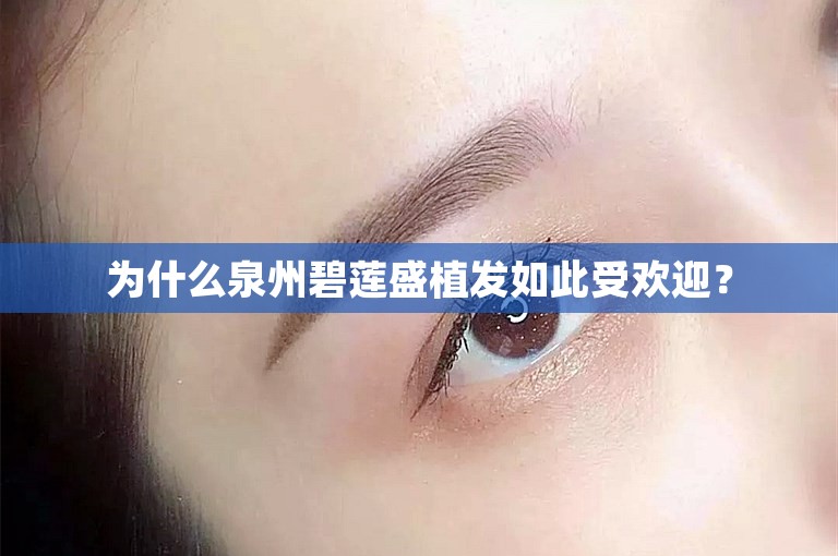 为什么泉州碧莲盛植发如此受欢迎？