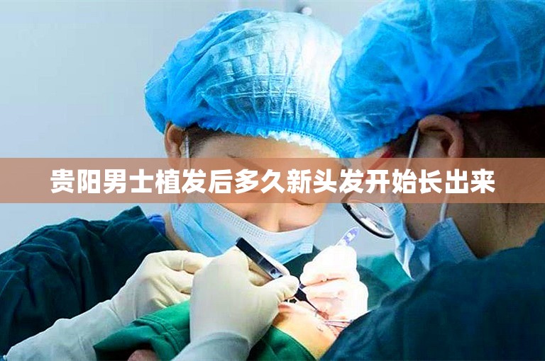 贵阳男士植发后多久新头发开始长出来