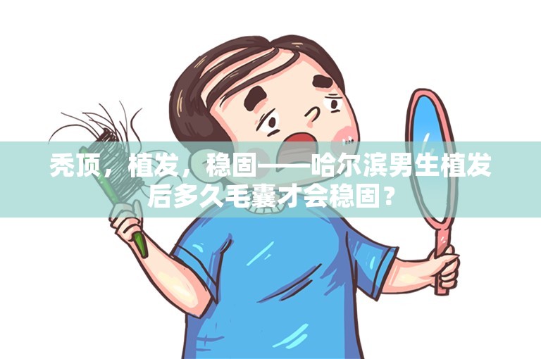 秃顶，植发，稳固——哈尔滨男生植发后多久毛囊才会稳固？