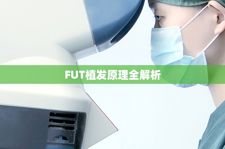 FUT植发原理全解析