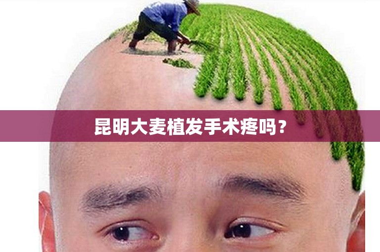 昆明大麦植发手术疼吗？