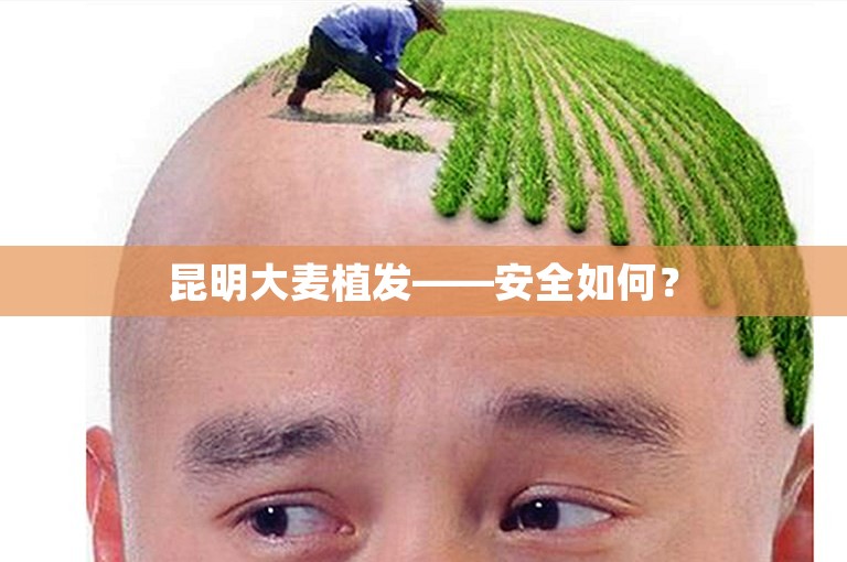 昆明大麦植发——安全如何？