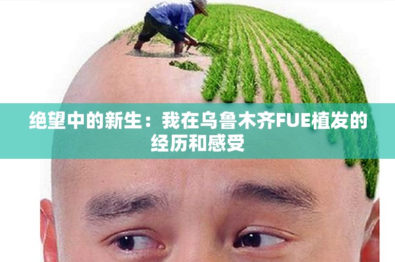 绝望中的新生：我在乌鲁木齐FUE植发的经历和感受