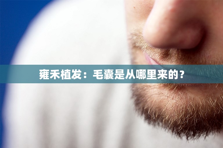 雍禾植发：毛囊是从哪里来的？