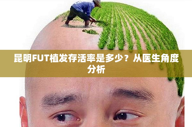 昆明FUT植发存活率是多少？从医生角度分析