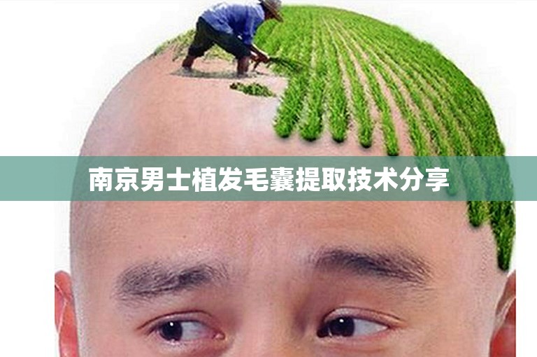 南京男士植发毛囊提取技术分享