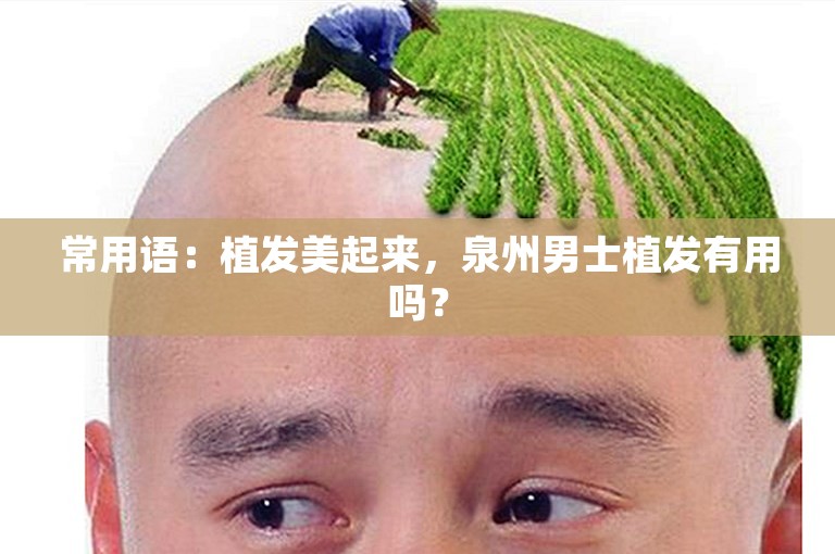 常用语：植发美起来，泉州男士植发有用吗？