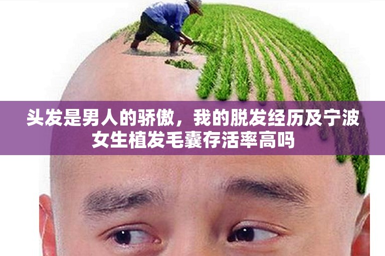 头发是男人的骄傲，我的脱发经历及宁波女生植发毛囊存活率高吗