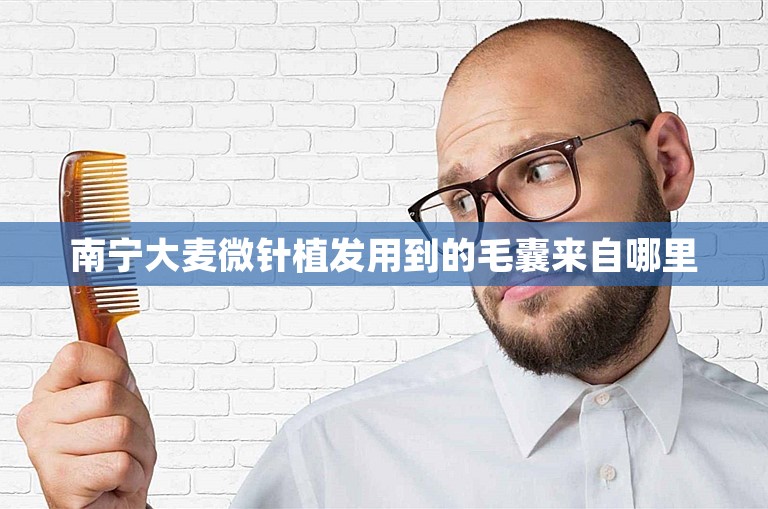 南宁大麦微针植发用到的毛囊来自哪里