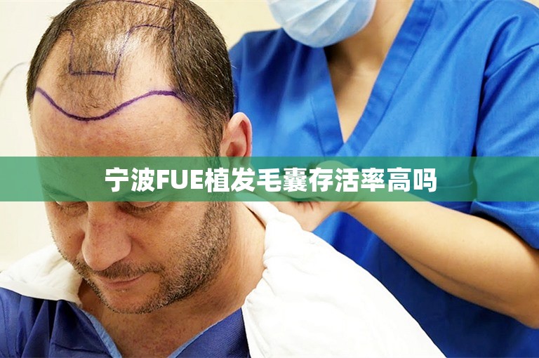 宁波FUE植发毛囊存活率高吗