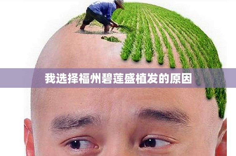 我选择福州碧莲盛植发的原因