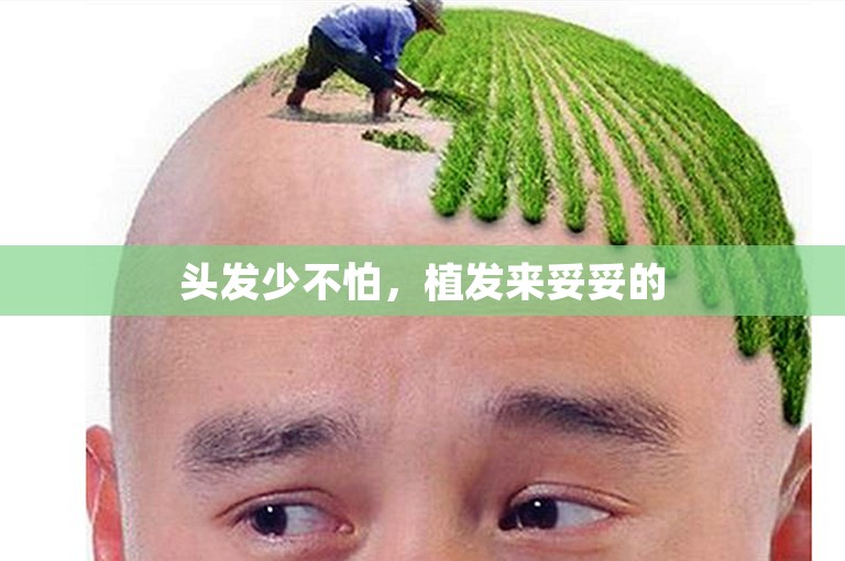 头发少不怕，植发来妥妥的