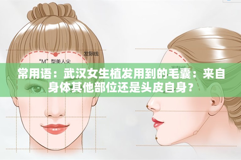 常用语：武汉女生植发用到的毛囊：来自身体其他部位还是头皮自身？