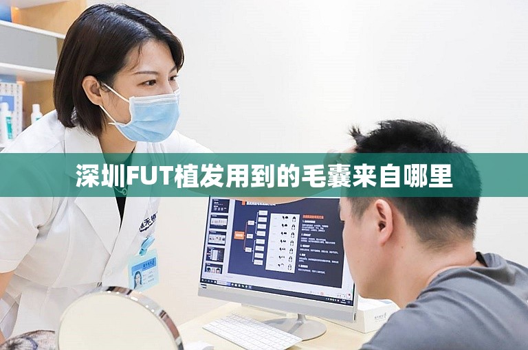 深圳FUT植发用到的毛囊来自哪里