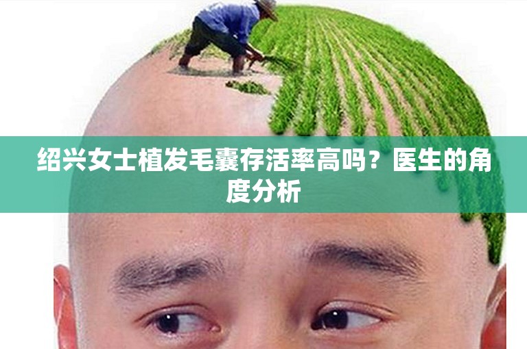 绍兴女士植发毛囊存活率高吗？医生的角度分析