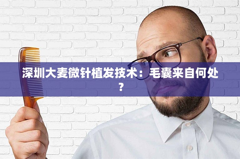 深圳大麦微针植发技术：毛囊来自何处？