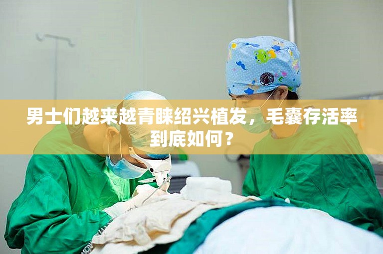 男士们越来越青睐绍兴植发，毛囊存活率到底如何？