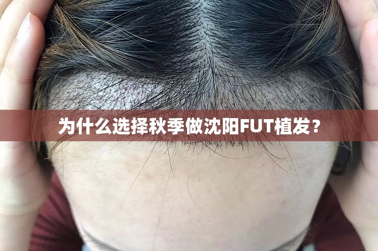 为什么选择秋季做沈阳FUT植发？