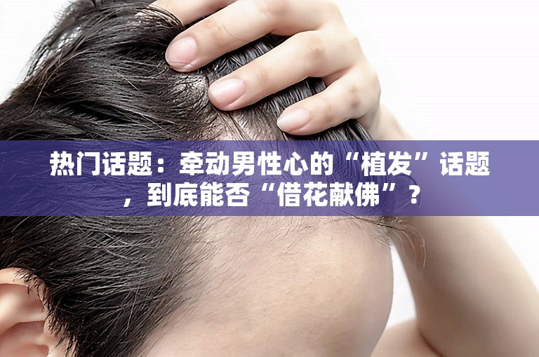 热门话题：牵动男性心的“植发”话题，到底能否“借花献佛”？