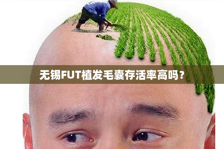 无锡FUT植发毛囊存活率高吗？