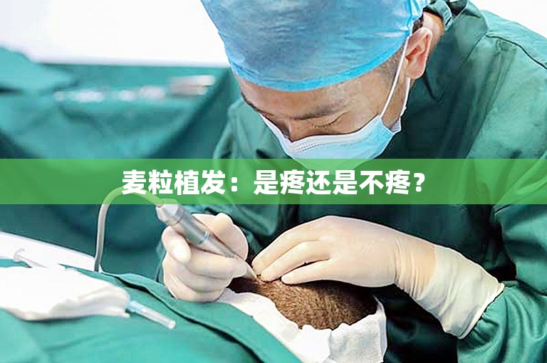 麦粒植发：是疼还是不疼？