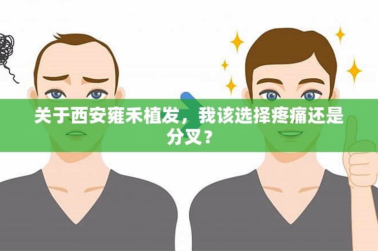 关于西安雍禾植发，我该选择疼痛还是分叉？