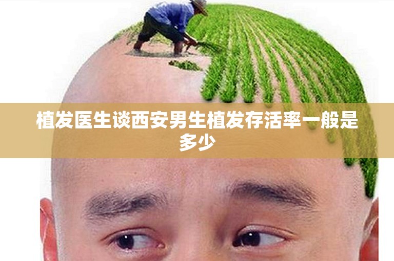 植发医生谈西安男生植发存活率一般是多少