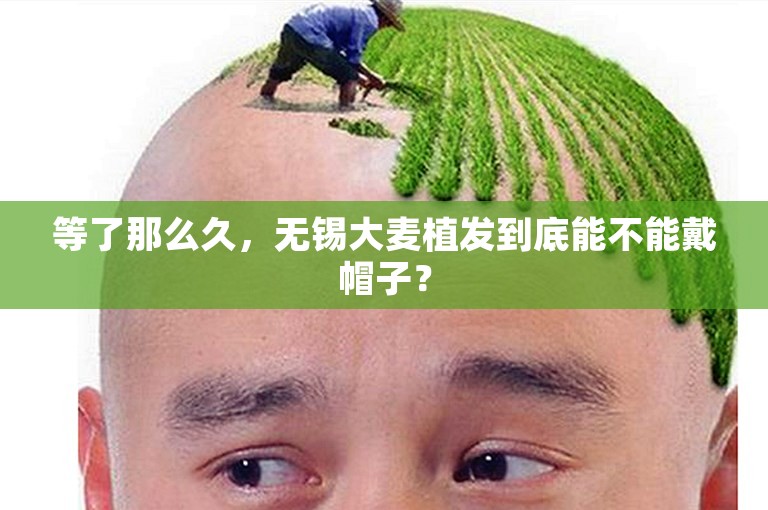 等了那么久，无锡大麦植发到底能不能戴帽子？