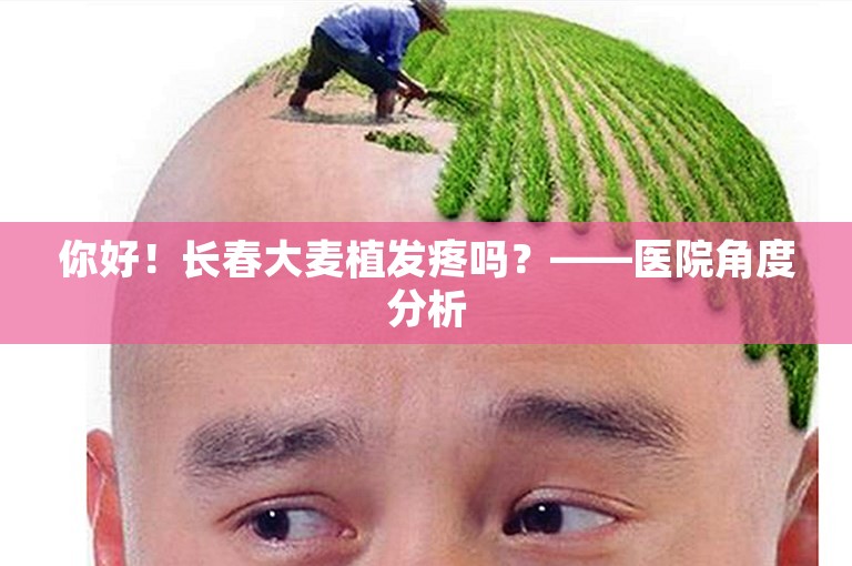 你好！长春大麦植发疼吗？——医院角度分析