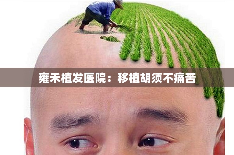 雍禾植发医院：移植胡须不痛苦