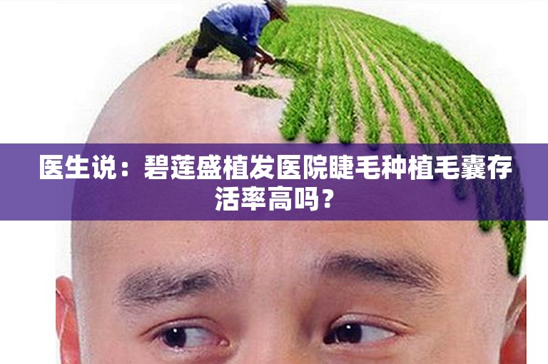 医生说：碧莲盛植发医院睫毛种植毛囊存活率高吗？