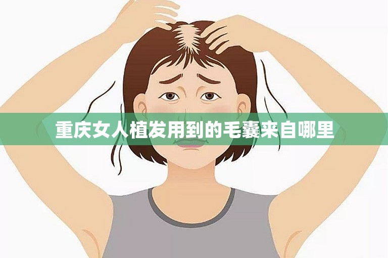 重庆女人植发用到的毛囊来自哪里