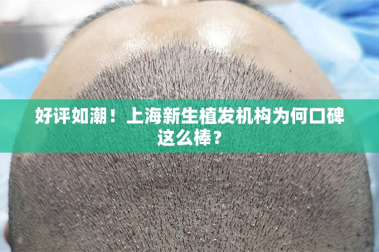 好评如潮！上海新生植发机构为何口碑这么棒？