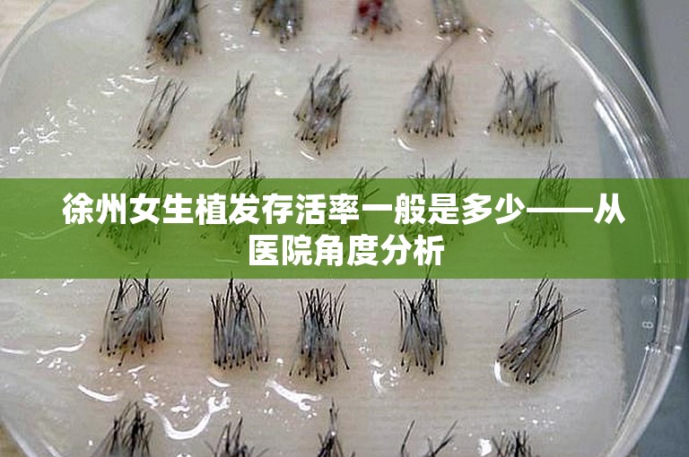 徐州女生植发存活率一般是多少——从医院角度分析