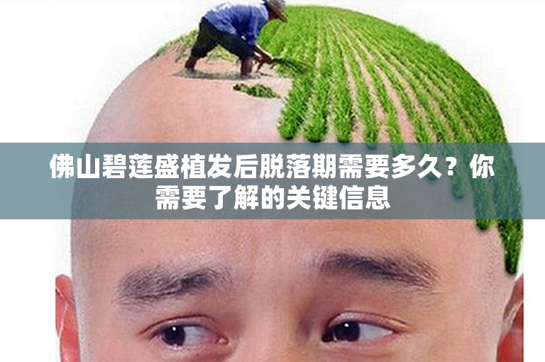 佛山碧莲盛植发后脱落期需要多久？你需要了解的关键信息