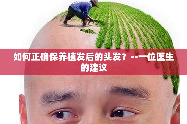 如何正确保养植发后的头发？--一位医生的建议