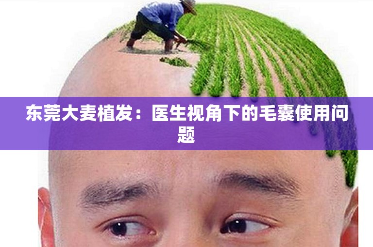 东莞大麦植发：医生视角下的毛囊使用问题